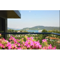 Maverick Garden Trabya