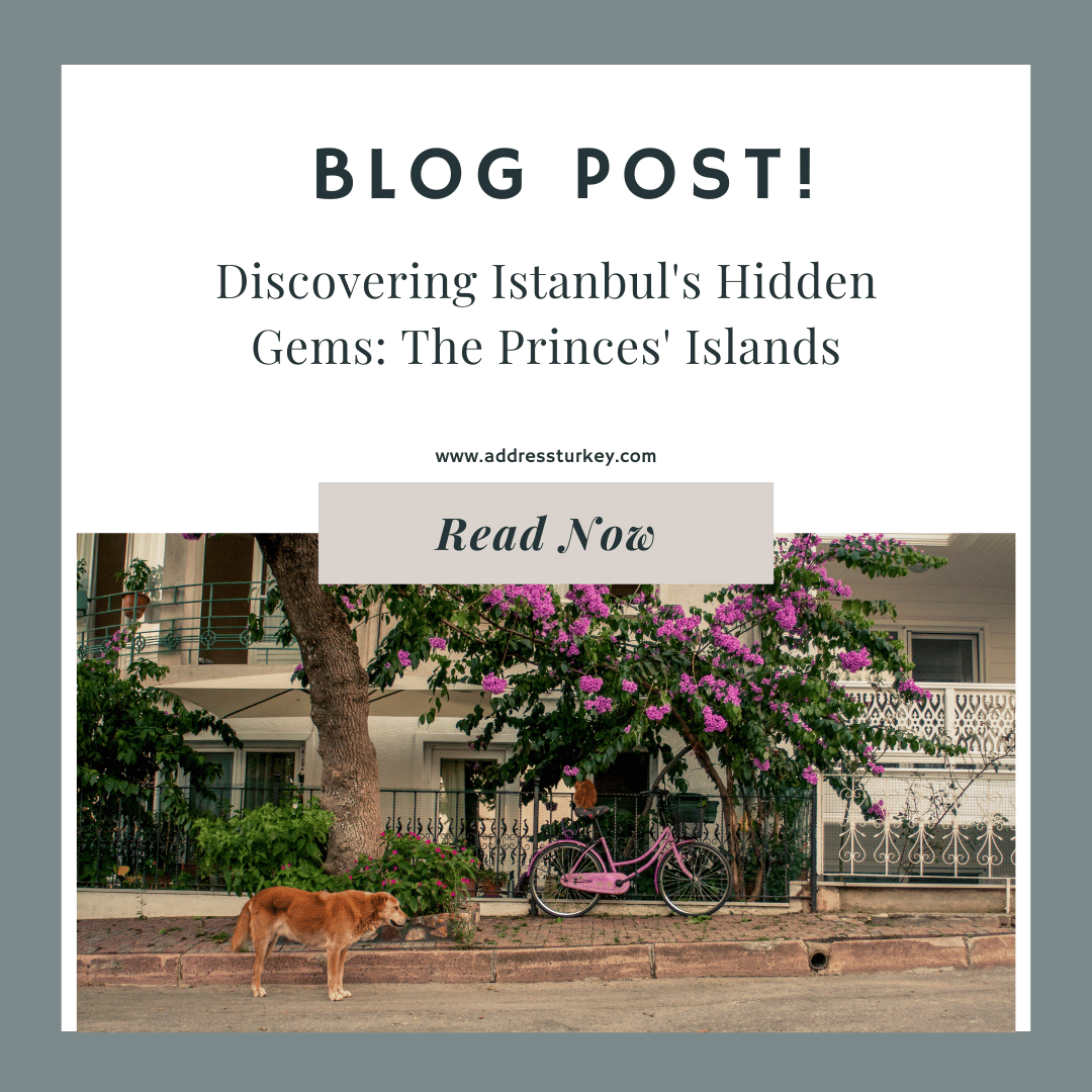 Discovering Istanbul's Hidden Gems: The Princes' Islands